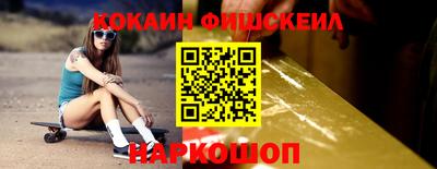 шишки Новодвинск