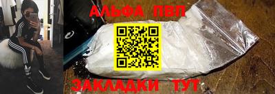 шишки Новодвинск