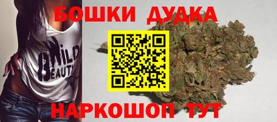 шишки Новодвинск