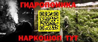 шишки Новодвинск