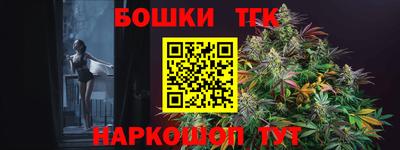 шишки Новодвинск