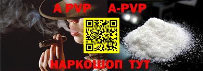 шишки Новодвинск